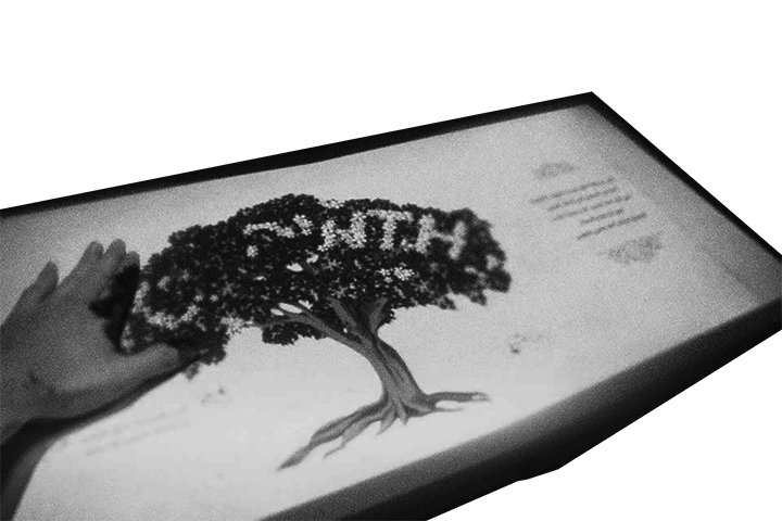 Interactive Book